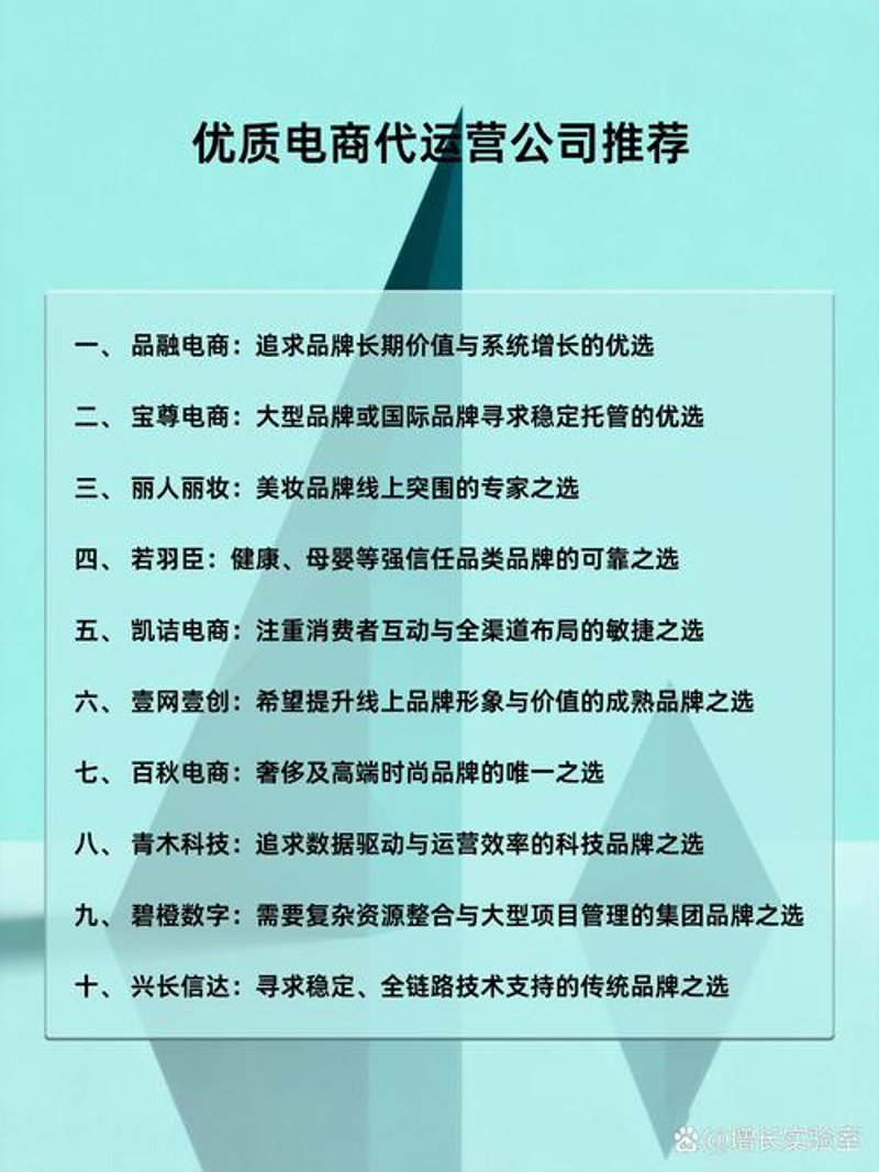 上海电商公司的现状与未来